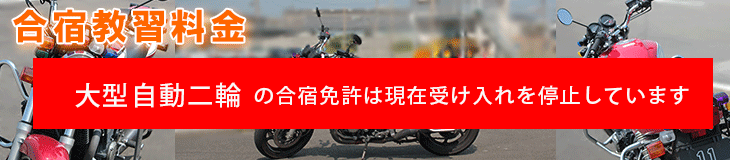 大型自動二輪